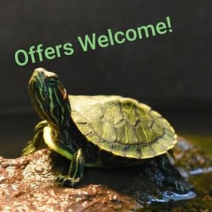 🐢OFFERS WELCOME!!!